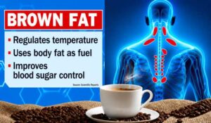 Does Coffee Make You Lose Weight