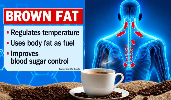 Does Coffee Make You Lose Weight